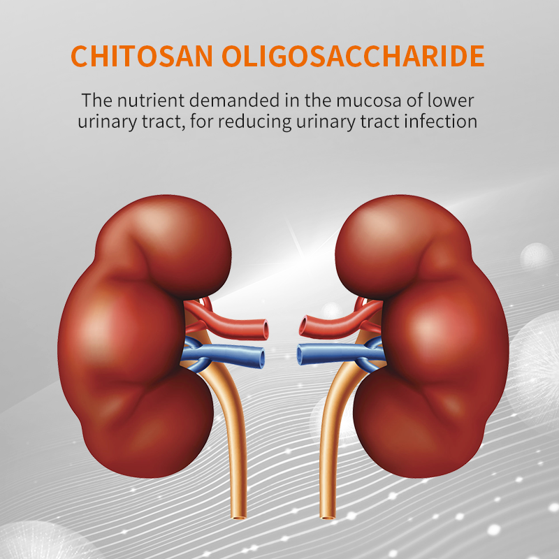 Treatment of Urinary lnfection