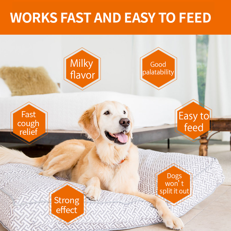 Puainta® Cough Tabs for Dogs and Antiinflammatory