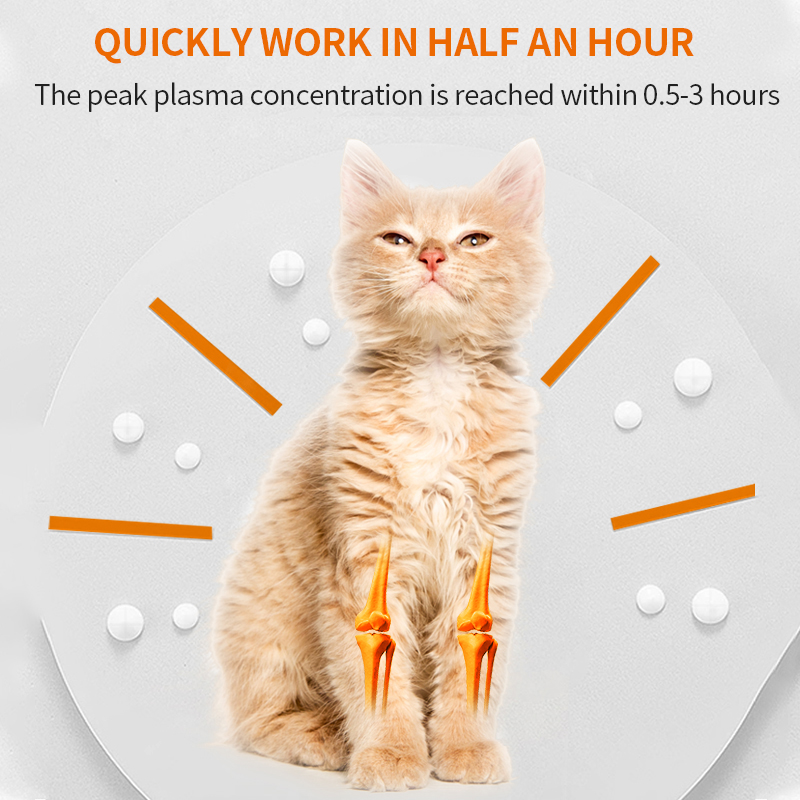 Puainta® Arthritis Chews for Dogs and Cats, Pain Relief In Arthritis