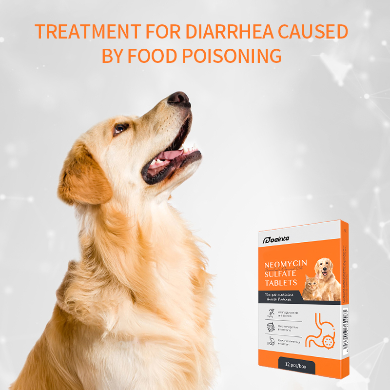 Puainta Dog/ Cat Diarrhea Home RemedyTablets