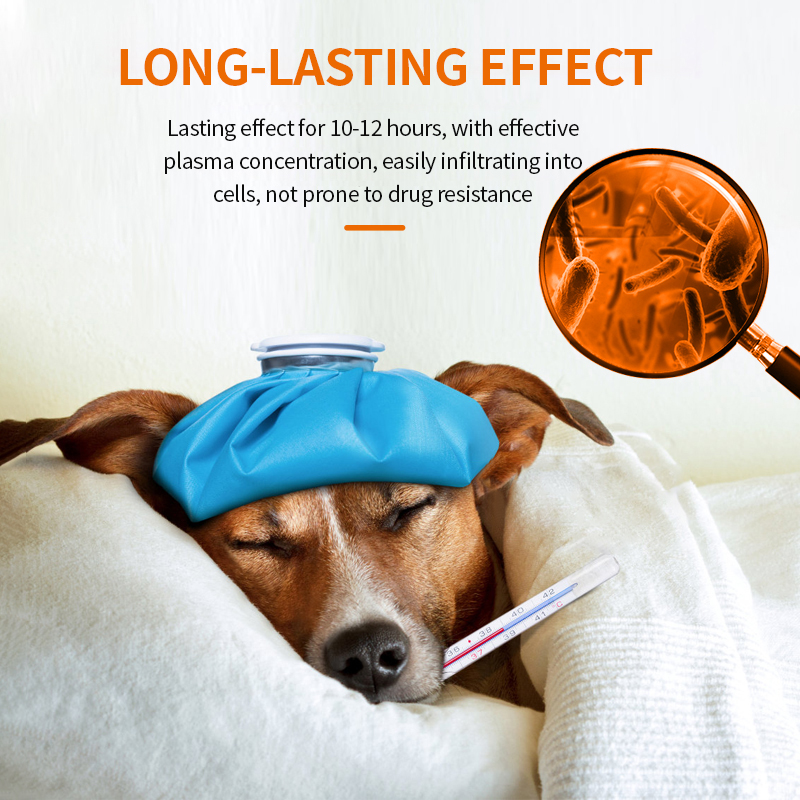 Puainta® Cough Tabs for Dogs and Antiinflammatory