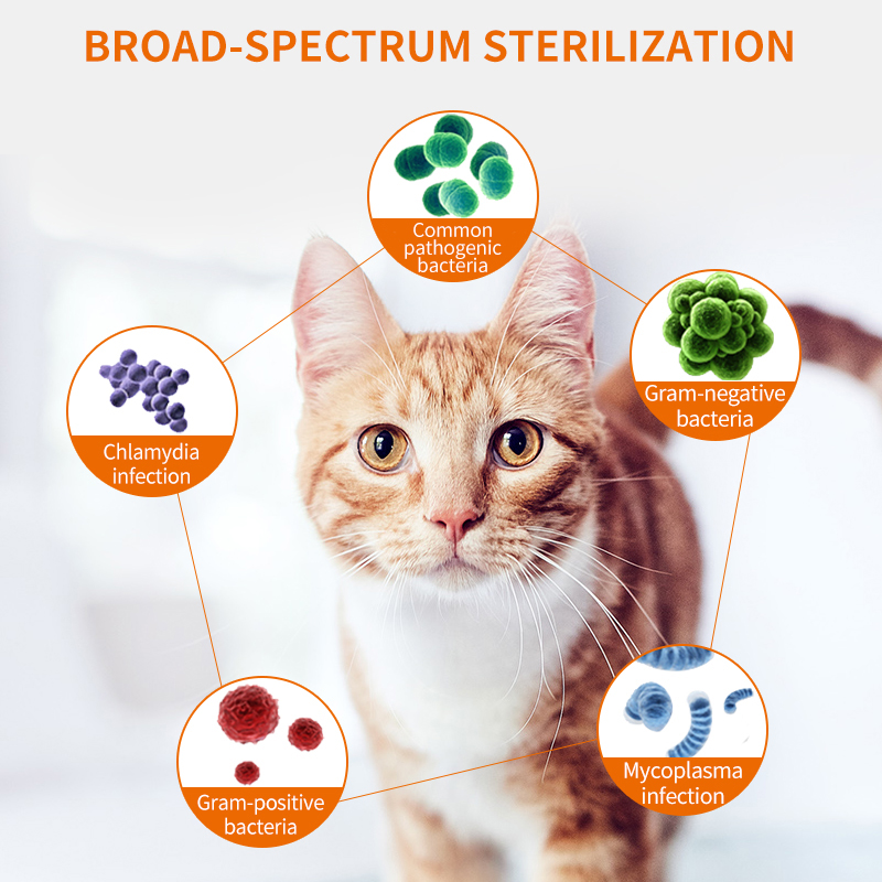 Puainta Cough Tablets Cats