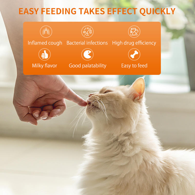 Puainta Cough Tablets Cats