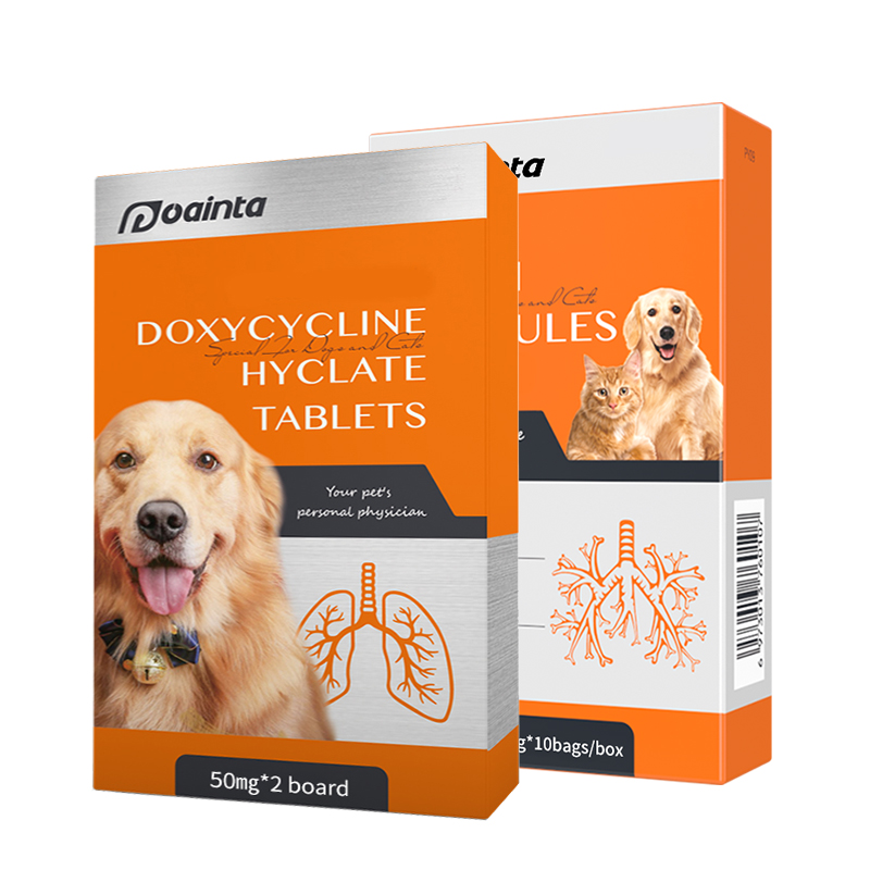 Dogs Upper Respiratory Infection (URI) Bundle