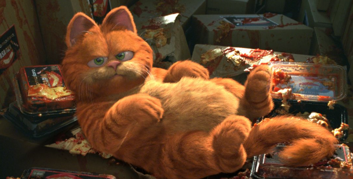 Garfield deals cat breed