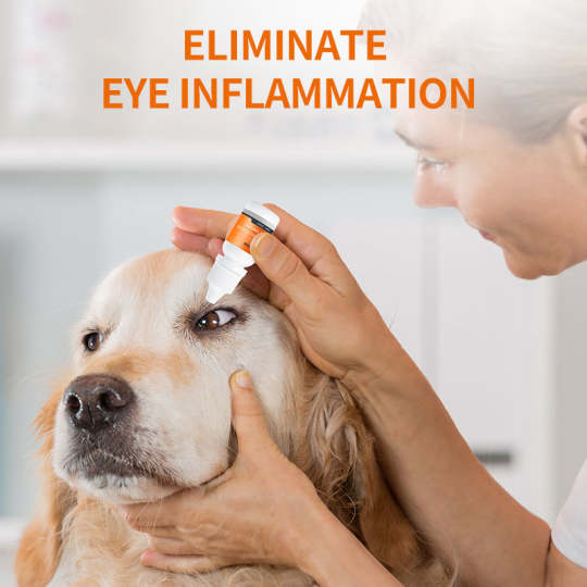 Puainta® Eye Drops for Dog Allergies and Cats Conjunctivitis