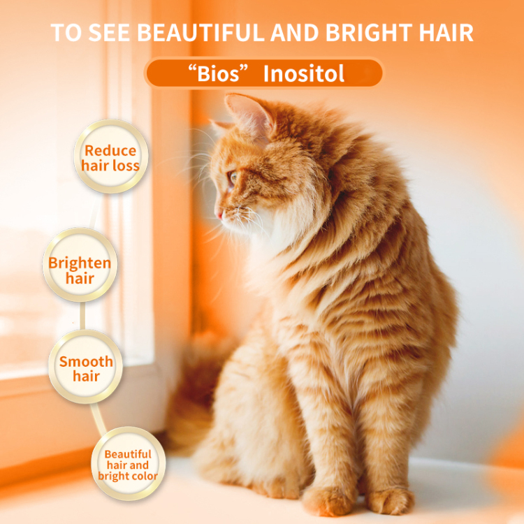 lecithin for catsPuainta®