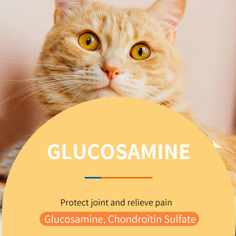 Puainta ™ Chondroitin Joint Supplements