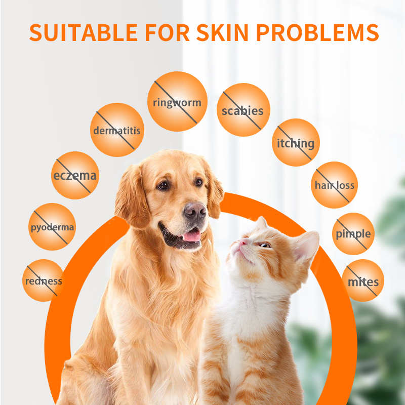 Puainta® Pipot Skin Spray,for Dogs and Cats for Itchy Skin, Mange and