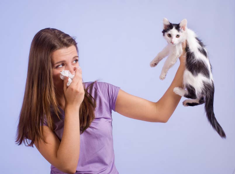 Cat bad outlet breath remedy