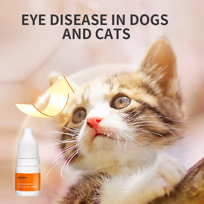 Puainta® Hydrocortisone Acetate Antibacterial Eye Drops for Cats/ Dogs