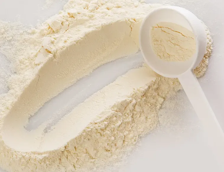 Lecithin for Dogs Lecithin Benefits