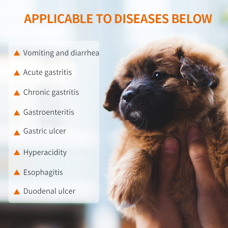 Puainta Anti Nausea Medicine for Dogs Treatment Vomiting ReliefTablets