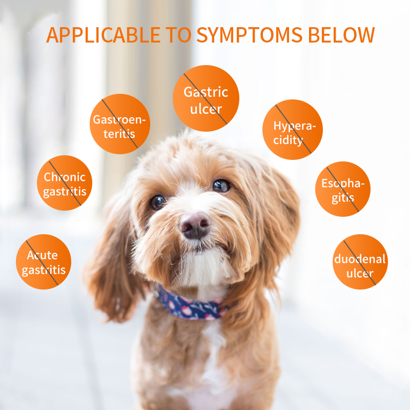 Puainta Anti Nausea Medicine for Dogs Treatment Vomiting ReliefTablets