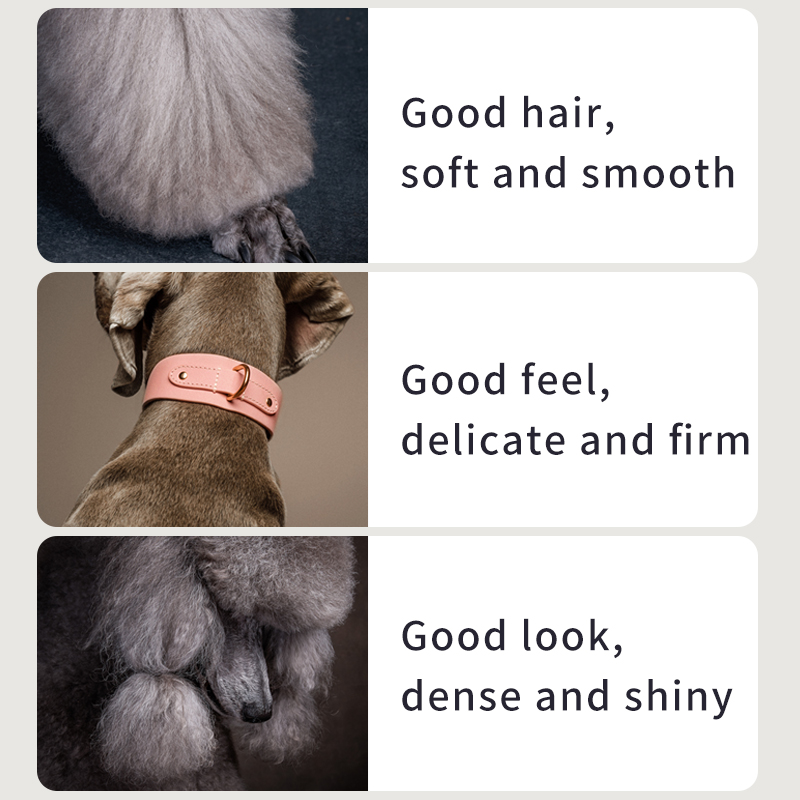 Puainta Lecithin Powder for Dogs, 200g