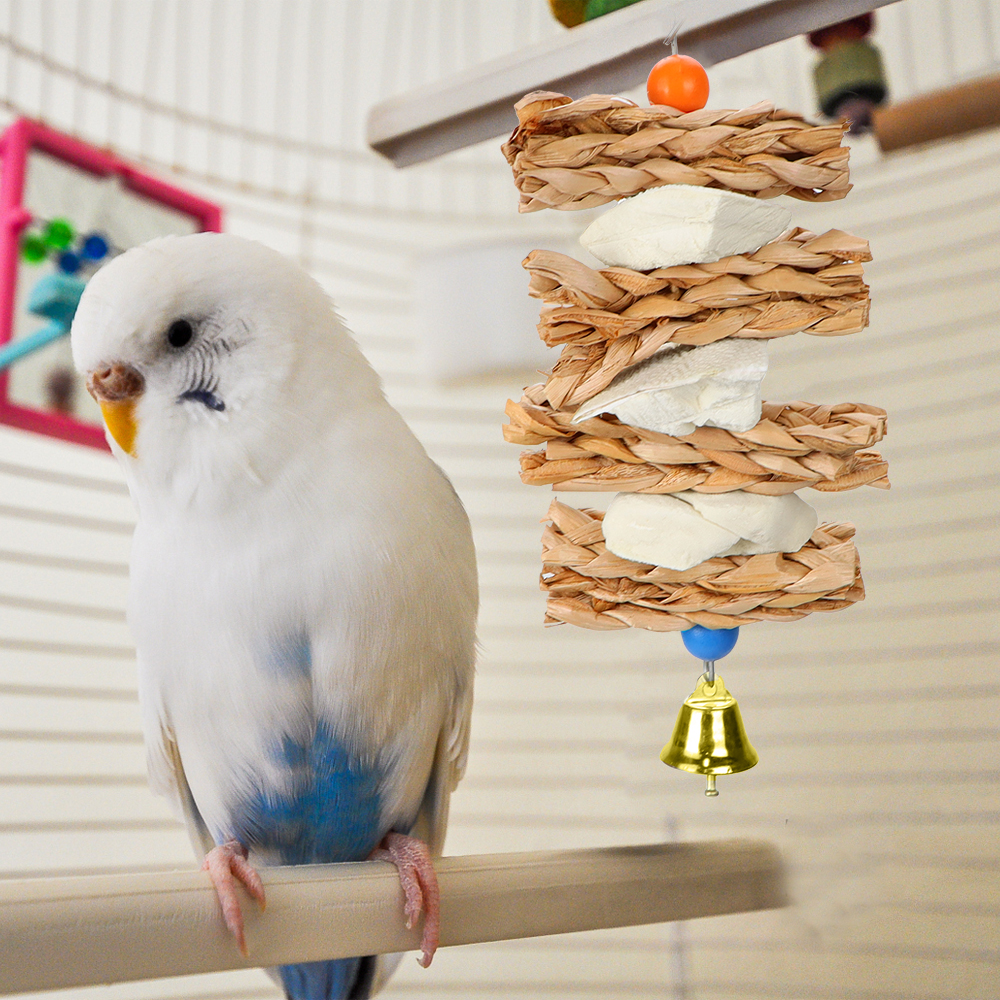 Bird Chewing Toys