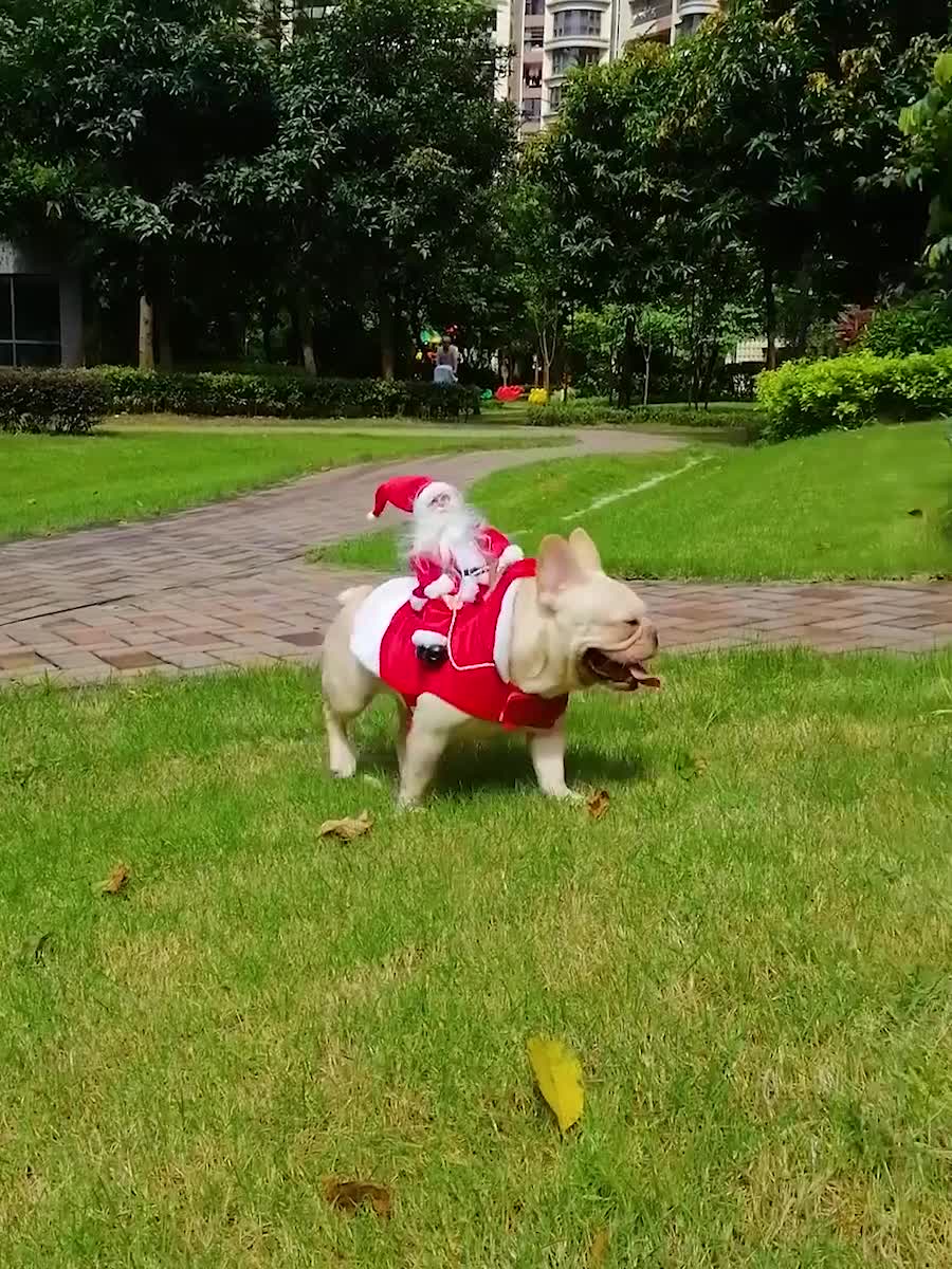 Santa Dog Costume - Santa Claus Riding Pet Cosplay Costumes