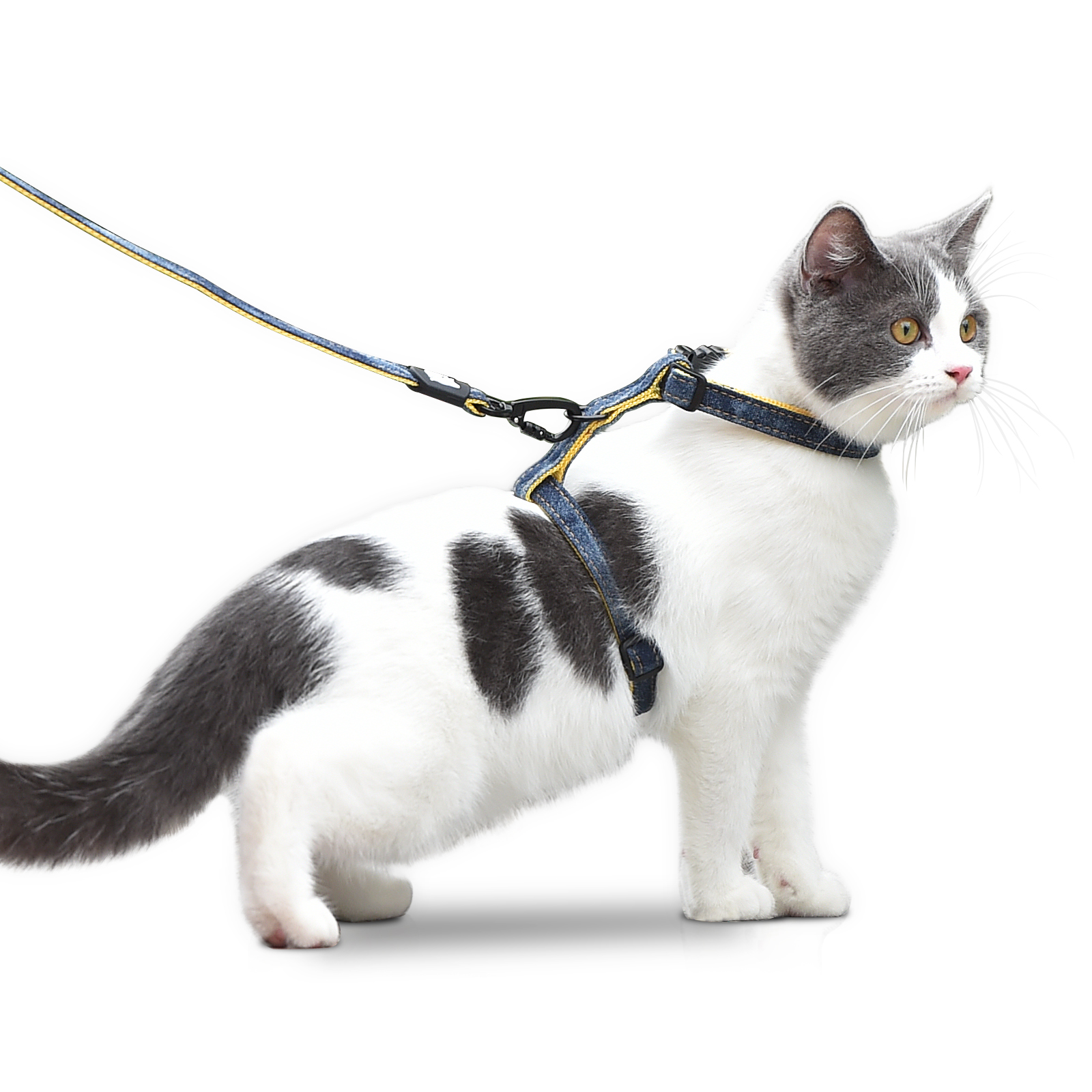 Cat Harness and Leash Set