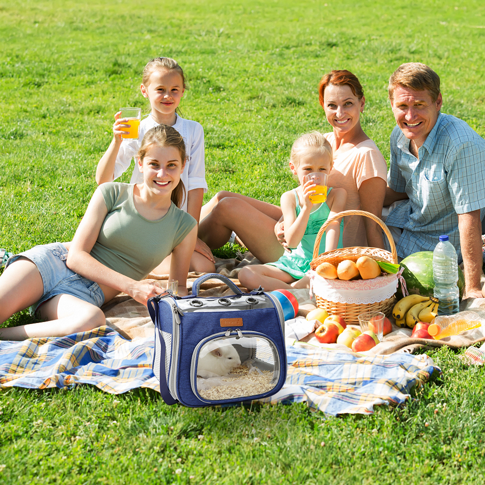 Guinea Pig Carrier for Small Aminal