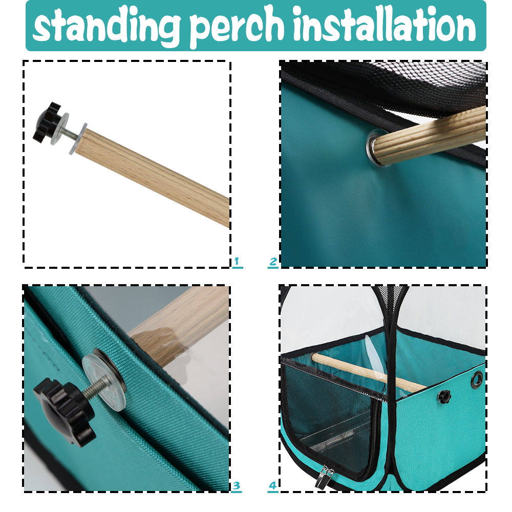 Bird Carrier for Travel Hiking (Green)