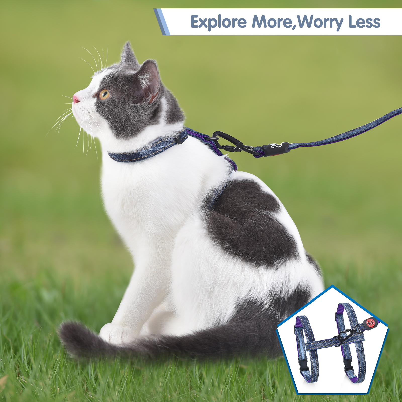 Cat Harness and Leash Set