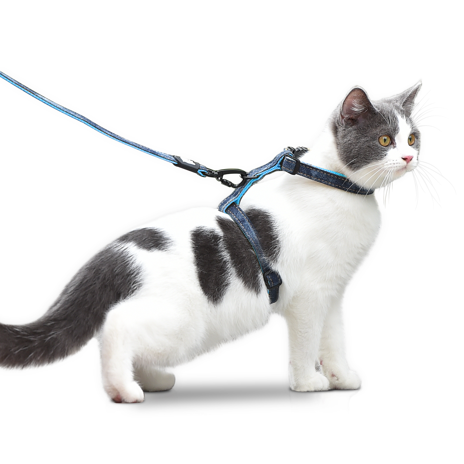 Cat Harness and Leash Set