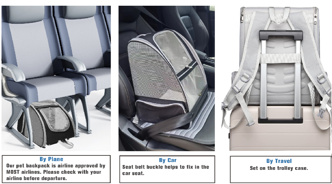 Super Breathable Cat Pet Backpack Carrier for Travel Hiking (PVC Mesh, Black)