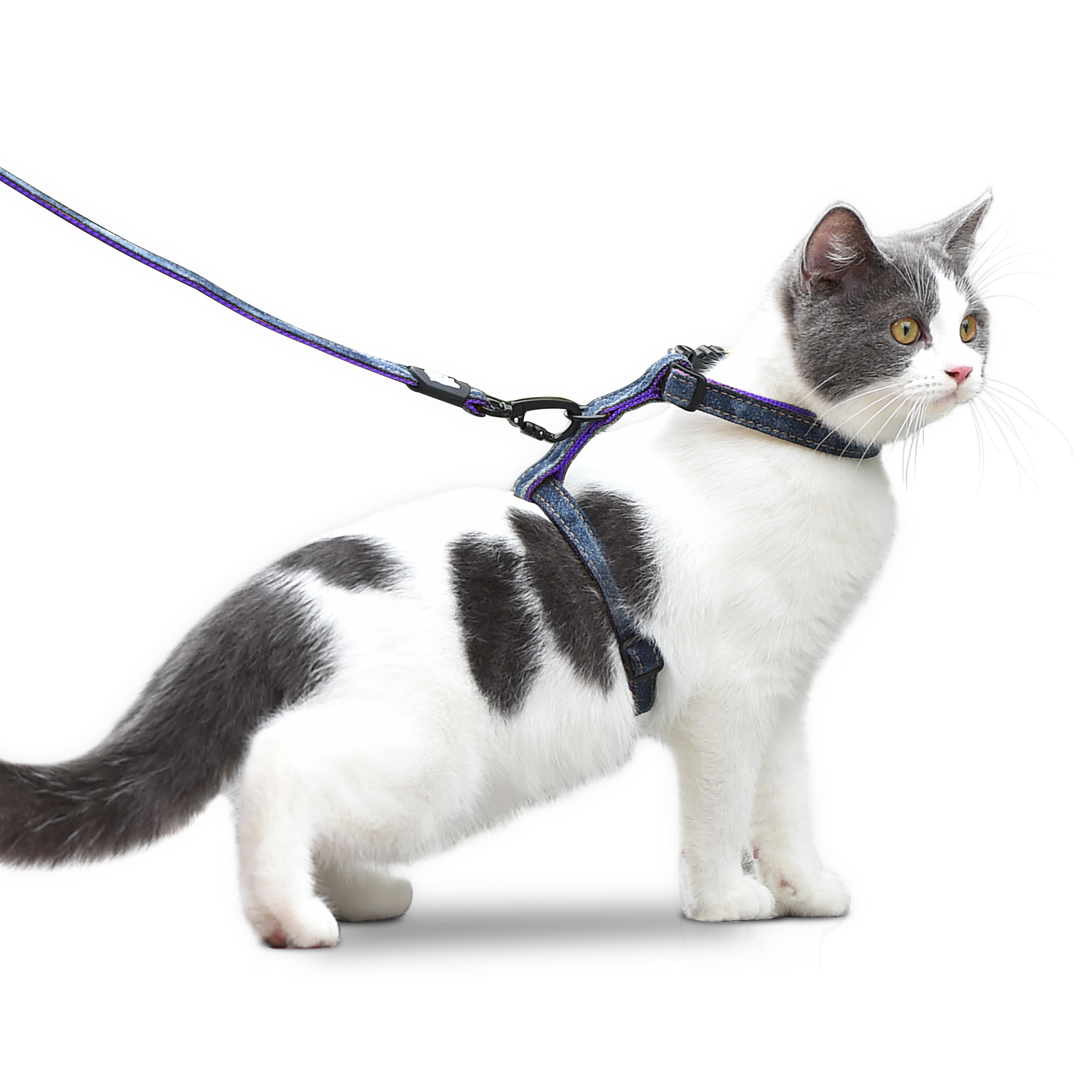 Cat Harness and Leash Set
