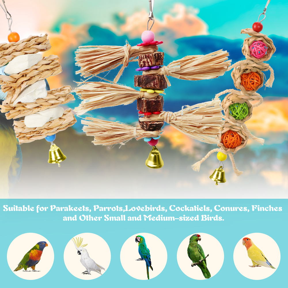 Bird Chewing Toys