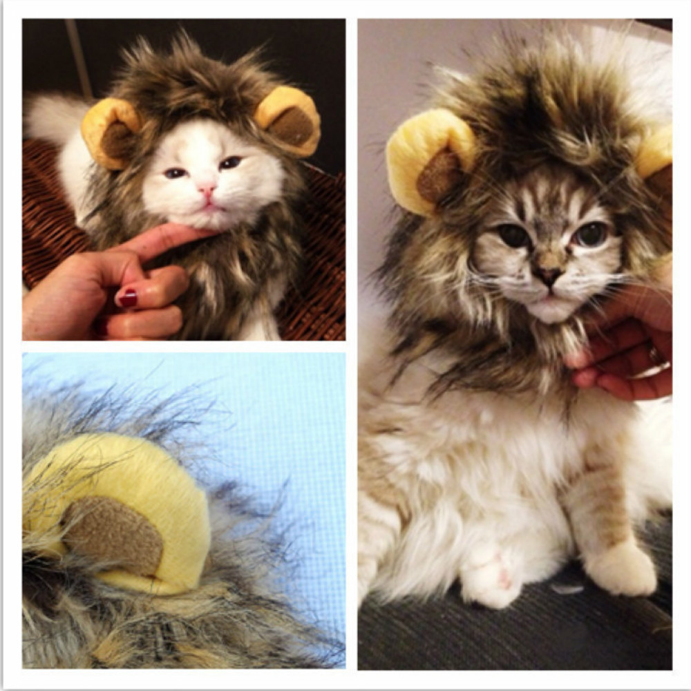 Cute Lion Mane Cat Wig Hat