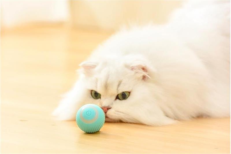 Cat Toys Automatic Rolling Ball