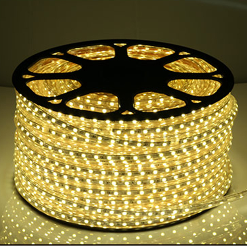 CANMEIJIA 120V 100M 5050 Smart Lights Strips -CANMEILIGHTS