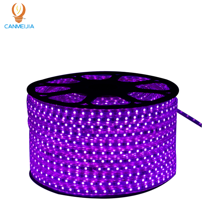 CANMEIJIA 120V 100M 5050 Smart Lights Strips -CANMEILIGHTS