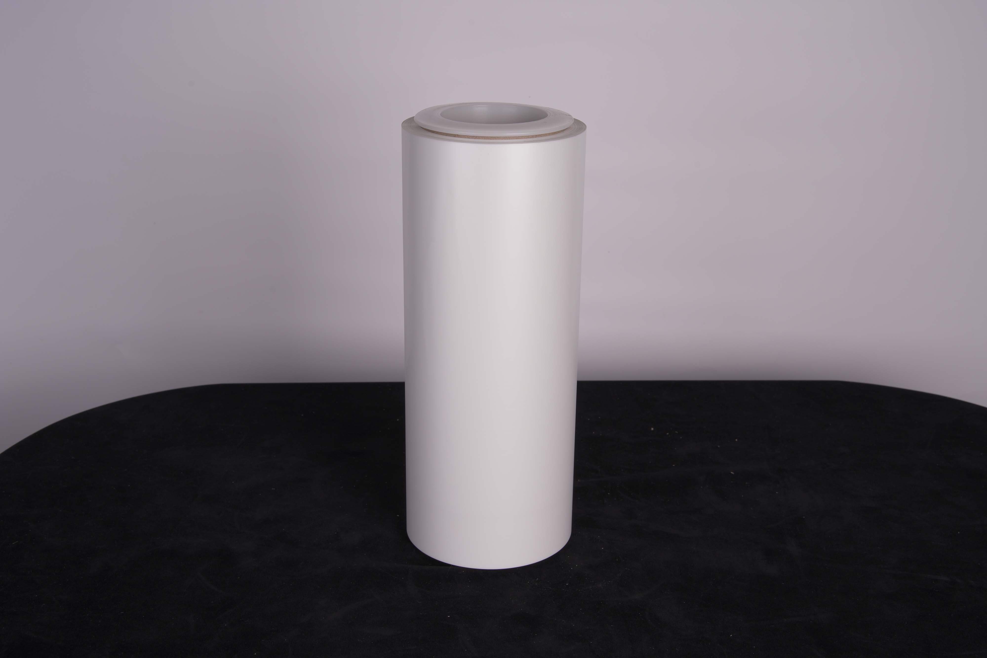 Vacumn Metallized PLA Film (VMPLA)