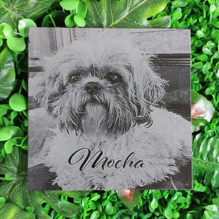 Personalized Pet Memorial Stones with Photo Grave Markers for Dogs Cats Horse Birds People