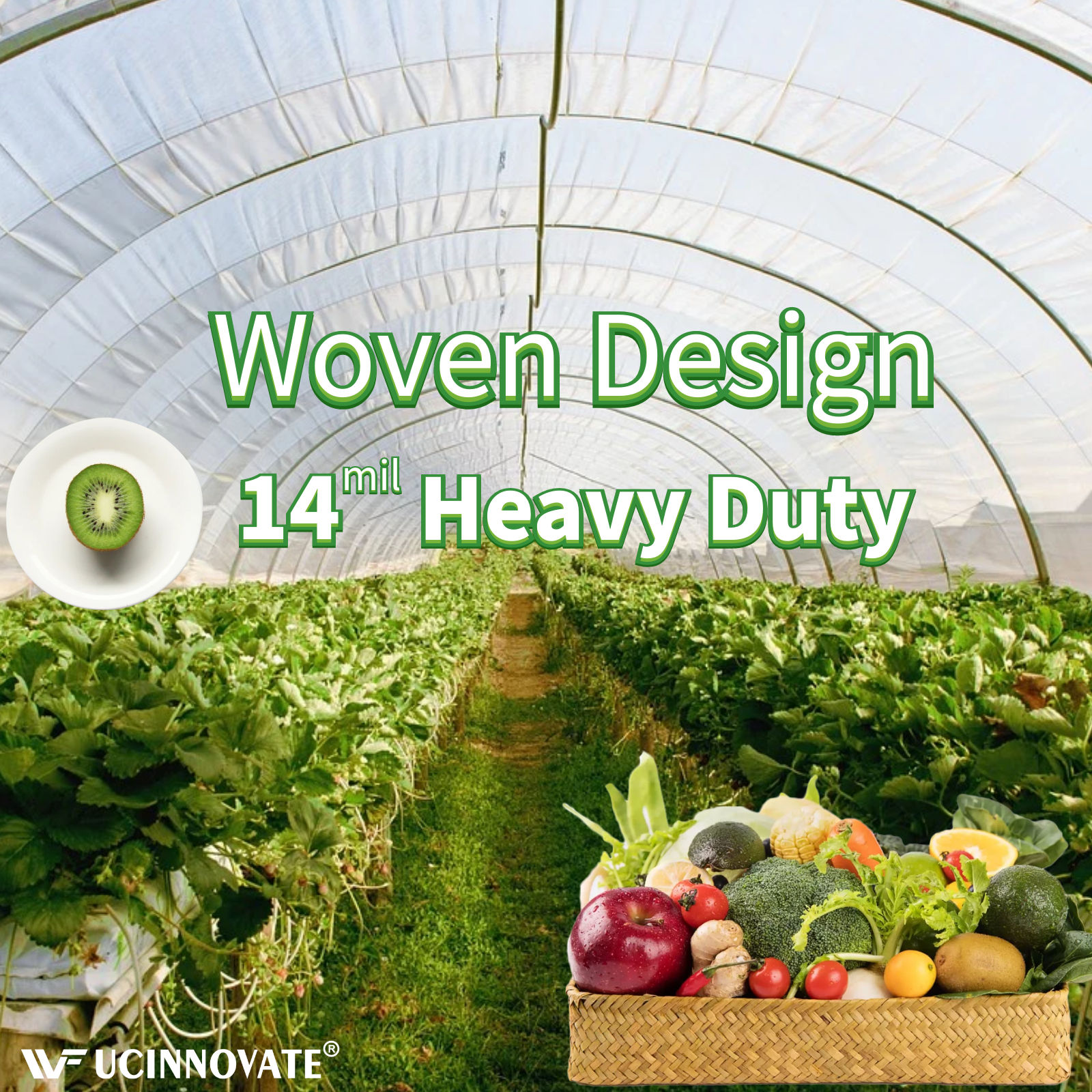 UCINNOVATE 10 x 13 ft Heavy Duty Thicken Transparent Tarpaulin Cover Shed Cloth with Grommets