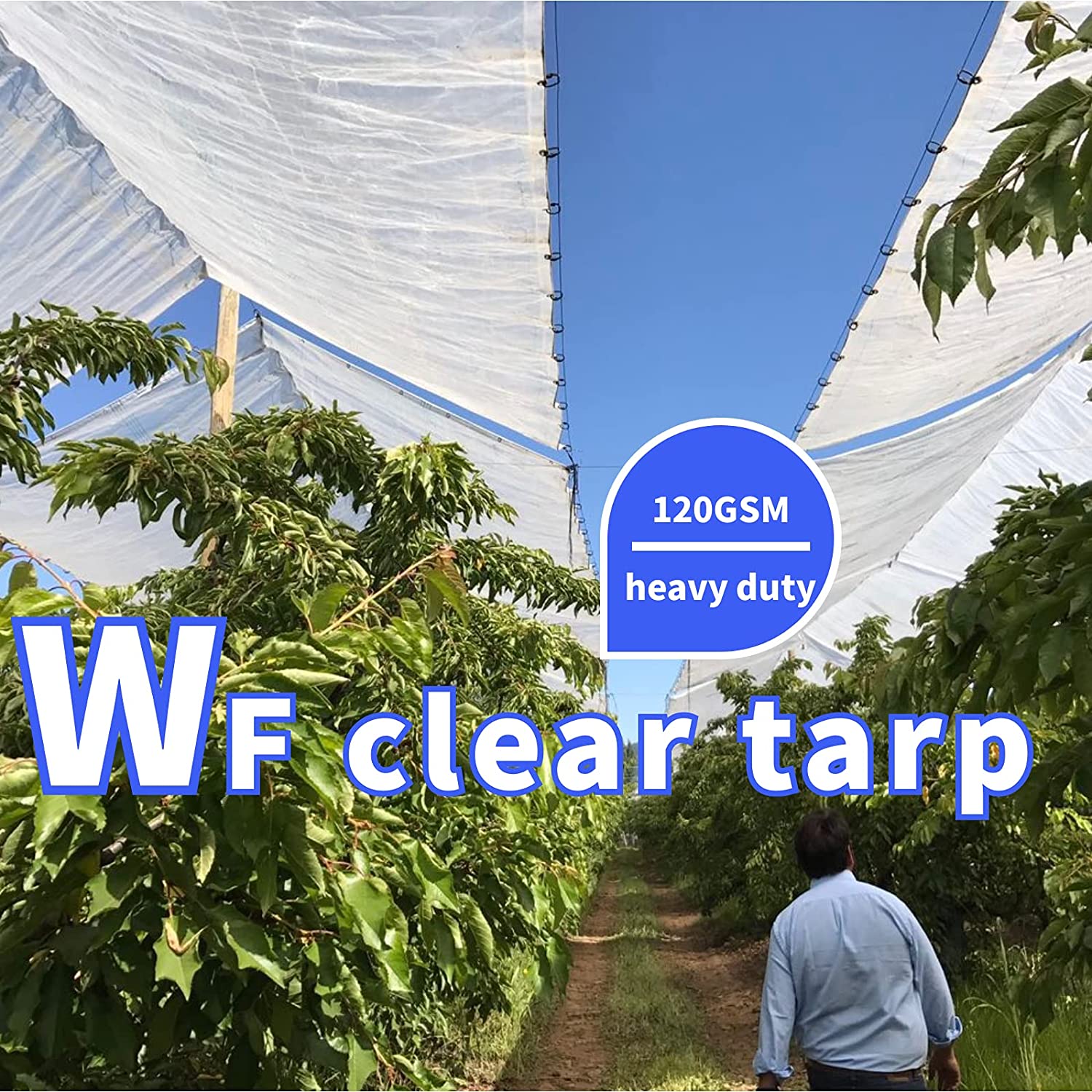 UCINNOVATE 6.5 x 10 ft Thicken Transparent Waterproof Tarpaulin Shed Cloth for Garden Greenhouse