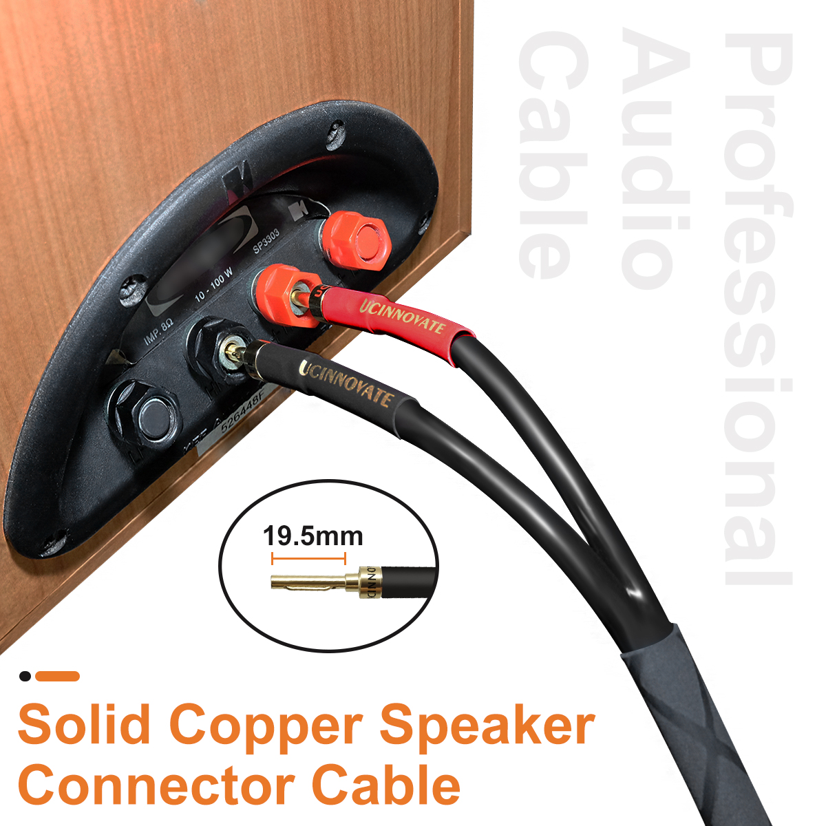 UCINNOVATE 1 Pack 3m Bi-Wire Speaker Cable, Home Theater Premium Speaker Cable Wire with Gold-Plated Banana Tip Plugs, Audiophile Heavy Duty Braided Speaker Wire for Speakers Audio amplifier Subwoofer