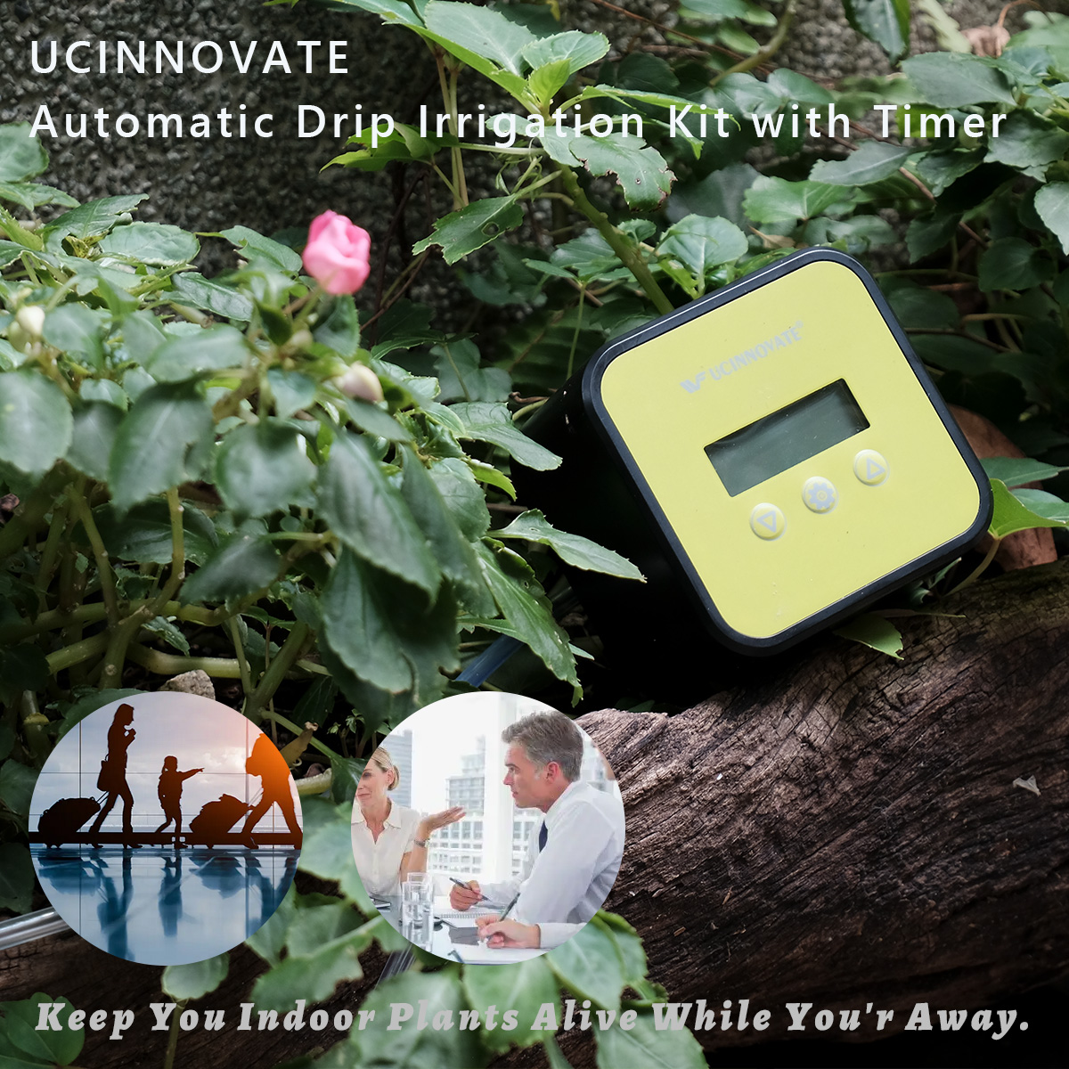 DIY Automatic Watering System, Greenhouse Self Watering Automatic Drip