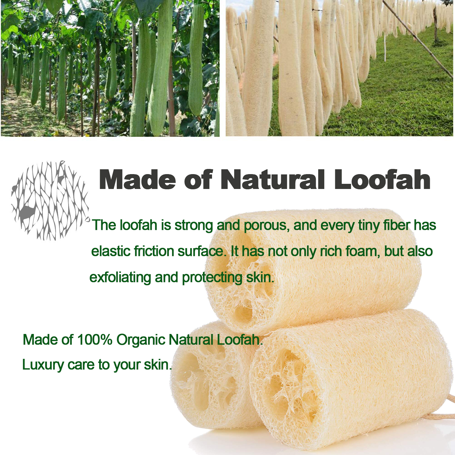 Natural loofah shower, Loofah Sponge, Exfoliating Luffa Bath Sponge Body Wash for Removing Dead Skin