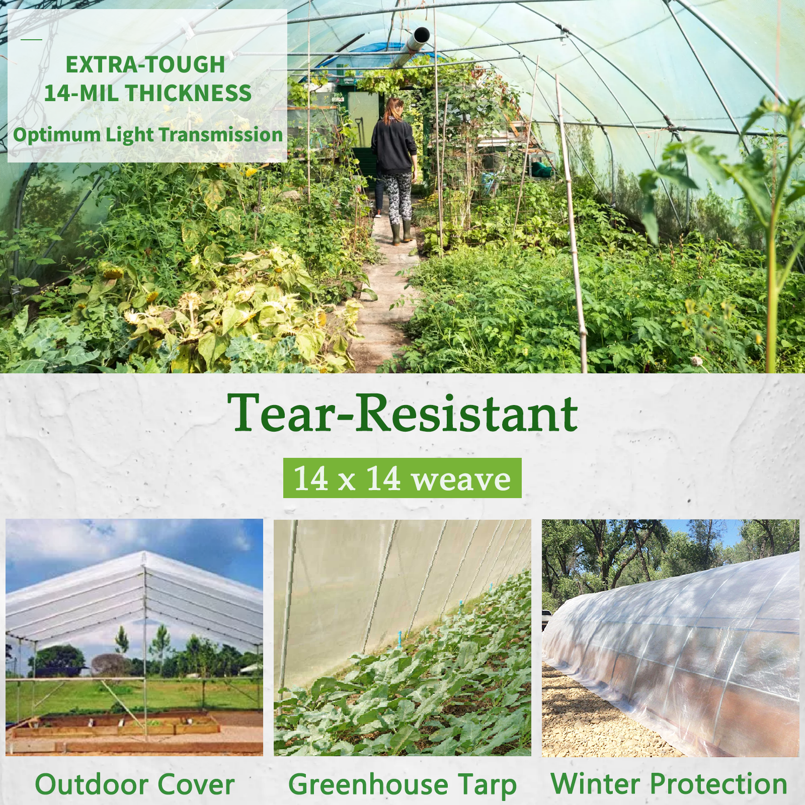 UCINNOVATE 10 x 13 ft Heavy Duty Thicken Transparent Tarpaulin Cover Shed Cloth with Grommets
