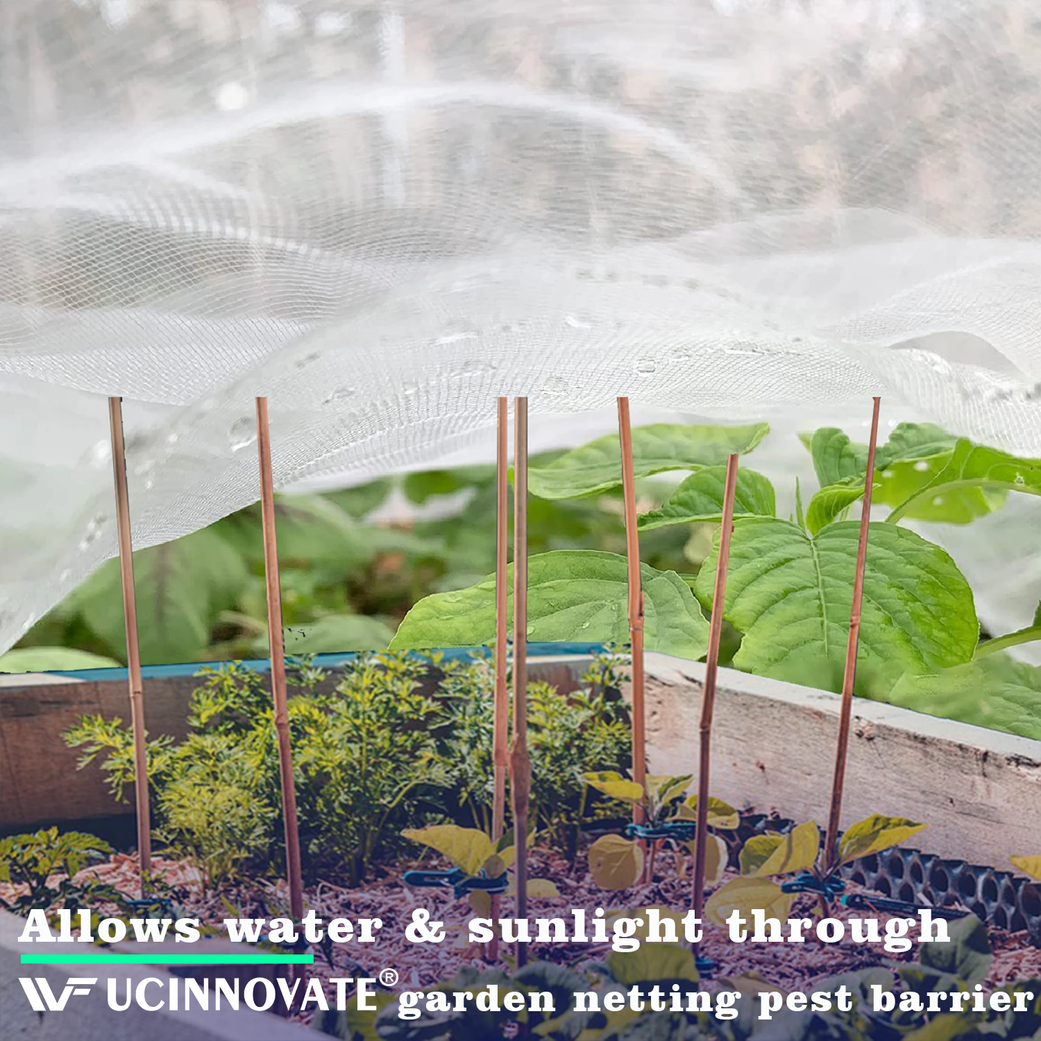 UCINNOVATE 10 x 20 ft Ultra-fine Mesh Netting Pest Insect Barrier Screen Net Plant Protector Cover