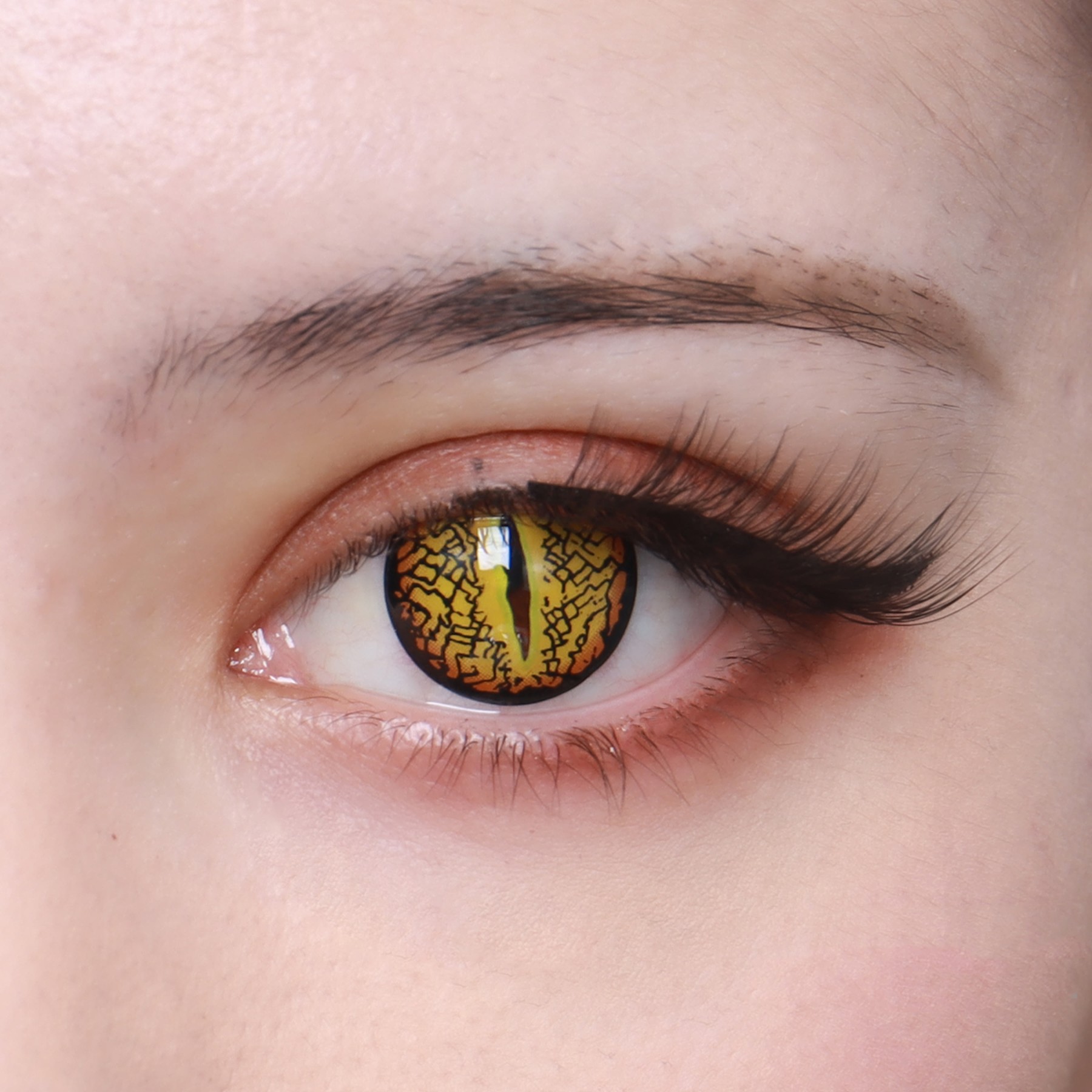 Coleyes Lizard Eye Brown Yearly Cosplay Colored Contacts
