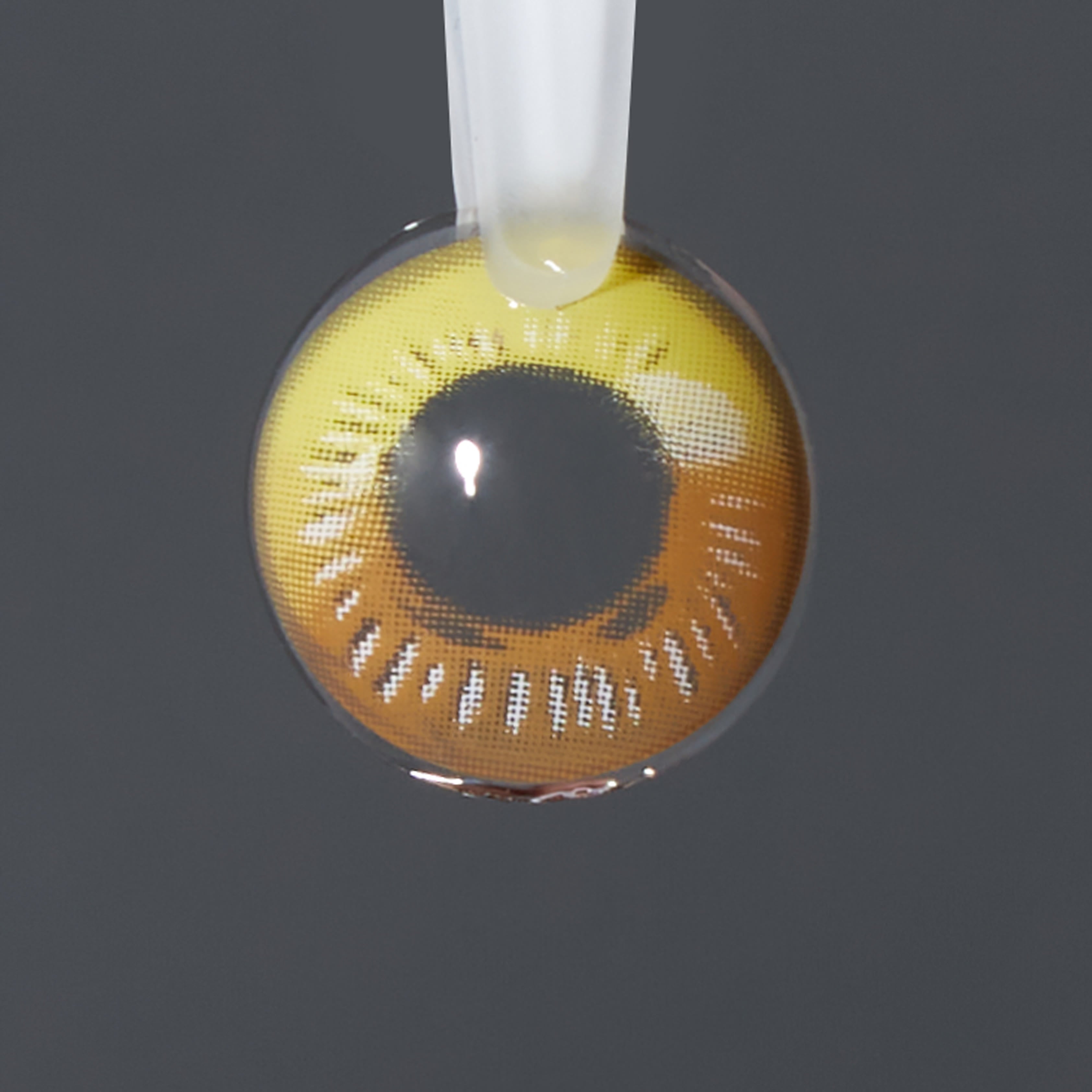 Coleyes Anime Yellow Brown Yearly Prescription Colored Contacts