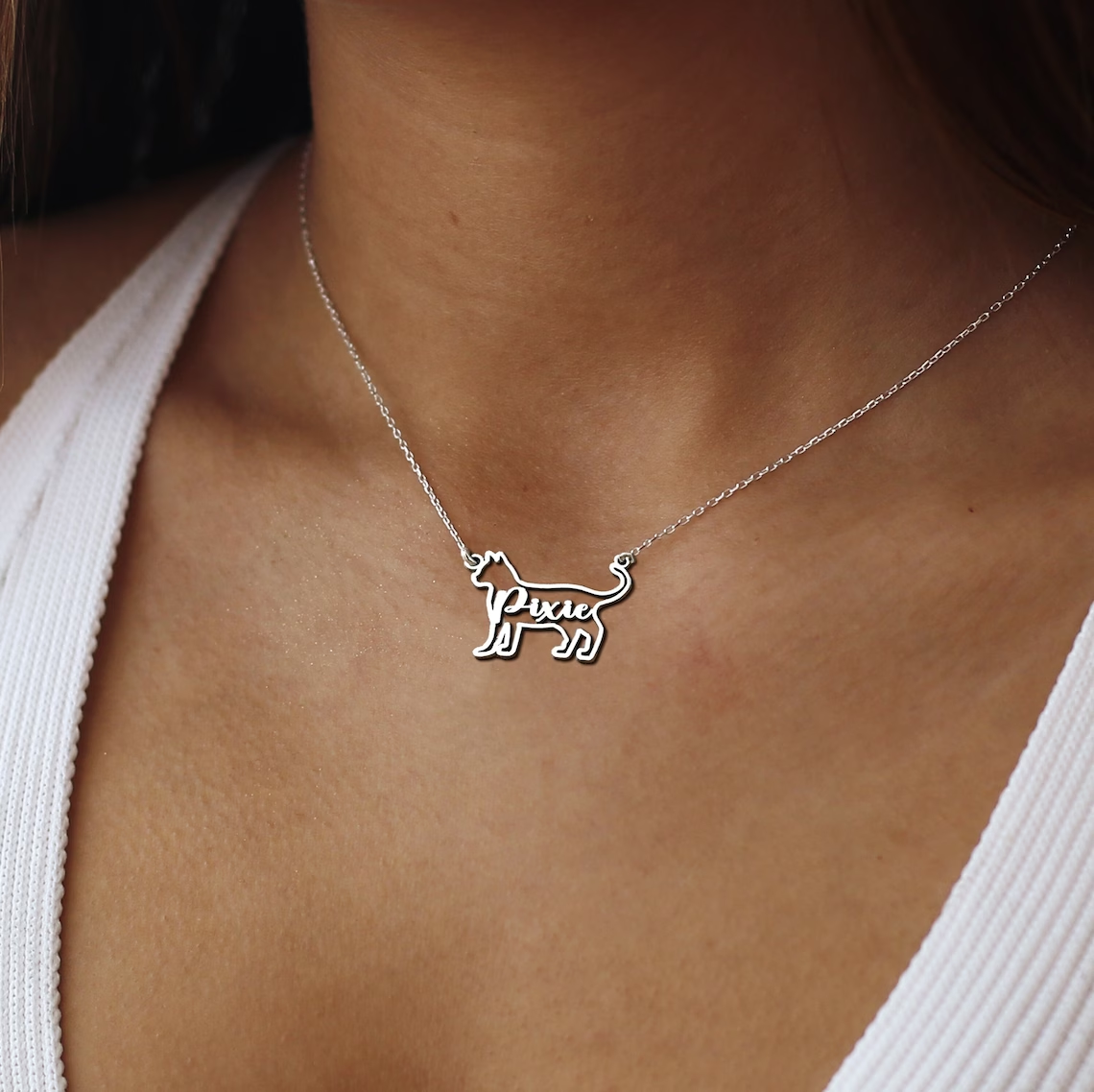 Cat Name Necklace Personalized Custom Cable Chain Pet Memorial Necklace-silviax