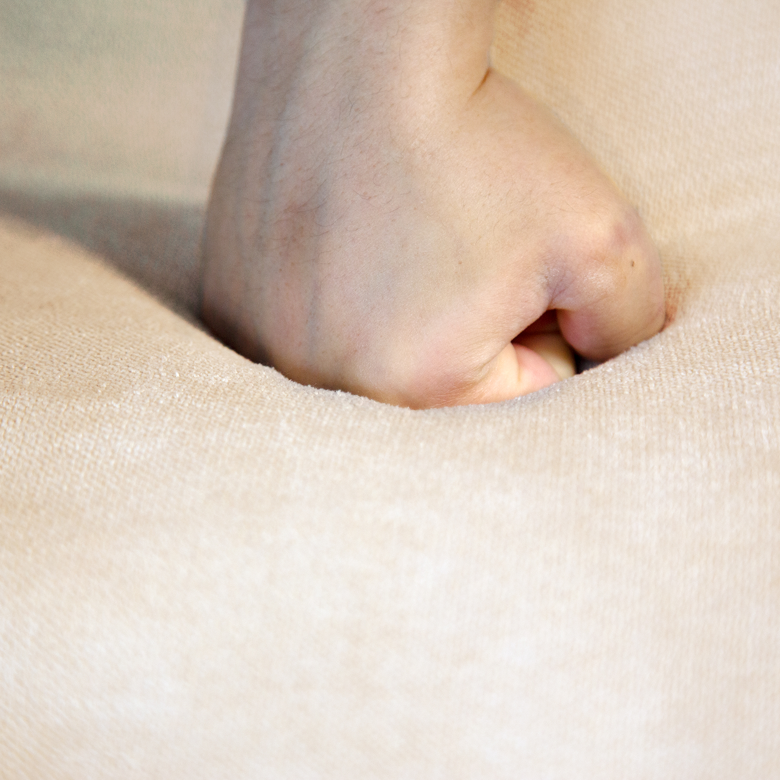 Peouna™Dog Stairs Pet Ladder