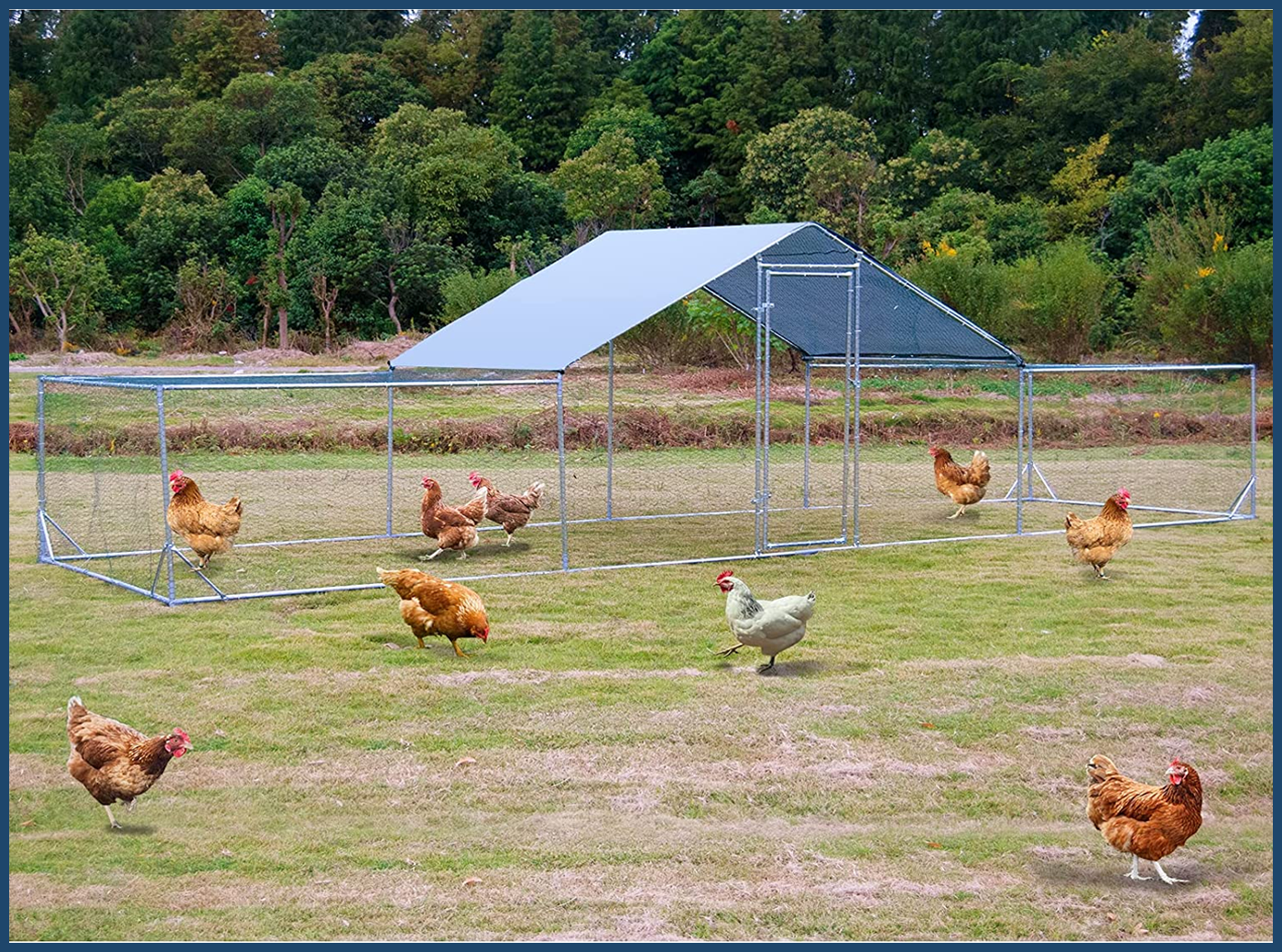 Large Metal Chicken Coop Walk In Poultry Cage With Waterproof And UV Protective Cover