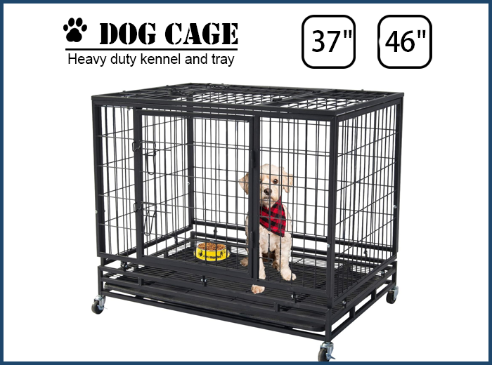 Pet Kennel Steel Plastic Dog Cage With Tray Double Door DesignPolar Aurora