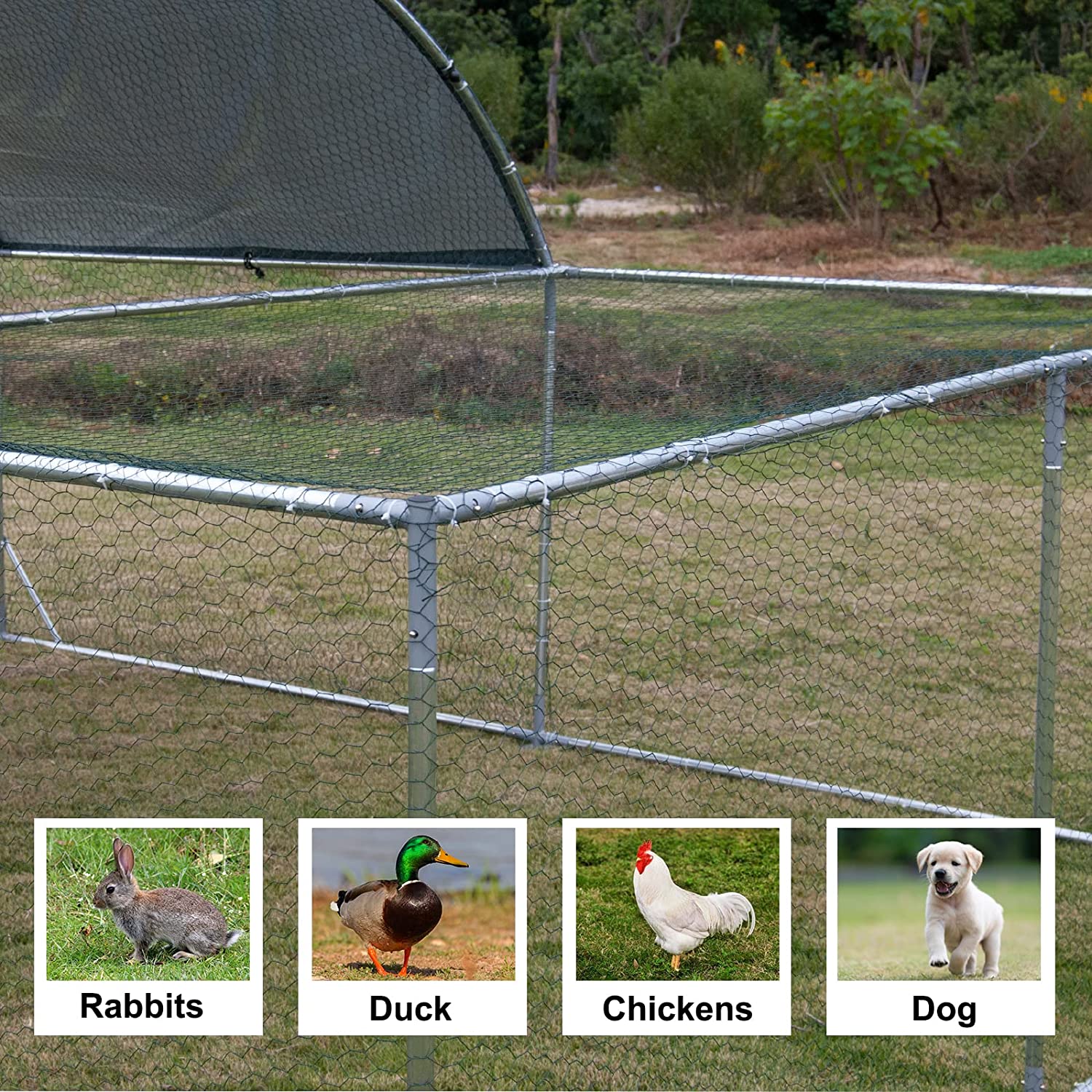 Large Metal Chicken Coop Walk In Poultry Cage With Waterproof And UV Protective Cover