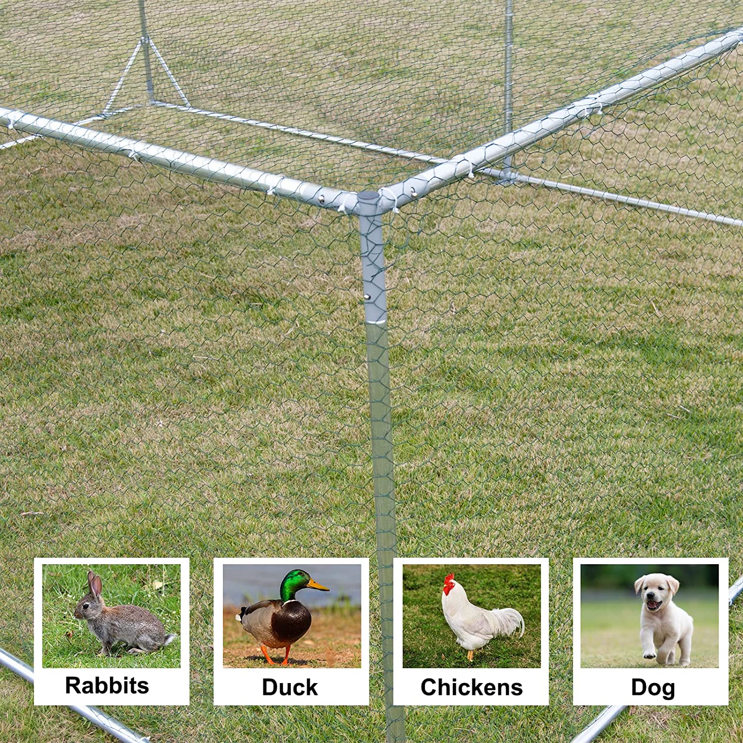 Large Metal Chicken Coop Walk In Poultry Cage With Waterproof And UV Protective Cover